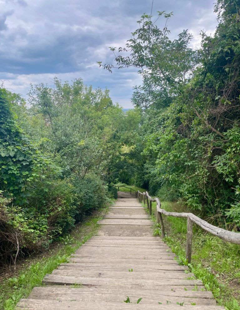 Blick auf eine Treppe zum Kienberg hoch Blick auf eine Treppe zum Kienberg hochwärts, umgeben von dichtem Grün und herbstlichen Bäumen